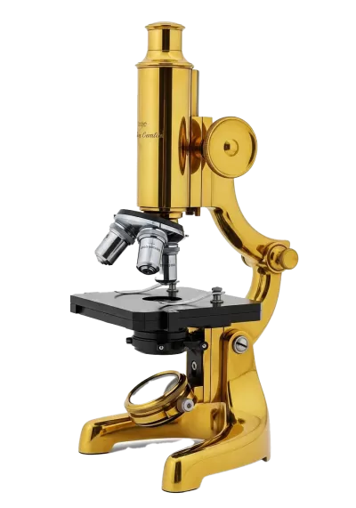 Imagen PNG para descargar